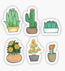 Plant bois pt2 Sticker