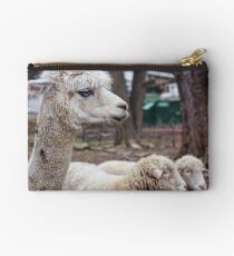 Timid Studio Pouch