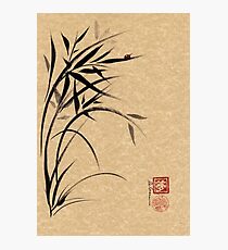 "Serene" Sumi-e ladybug & bamboo ink brush painting Photographic Print