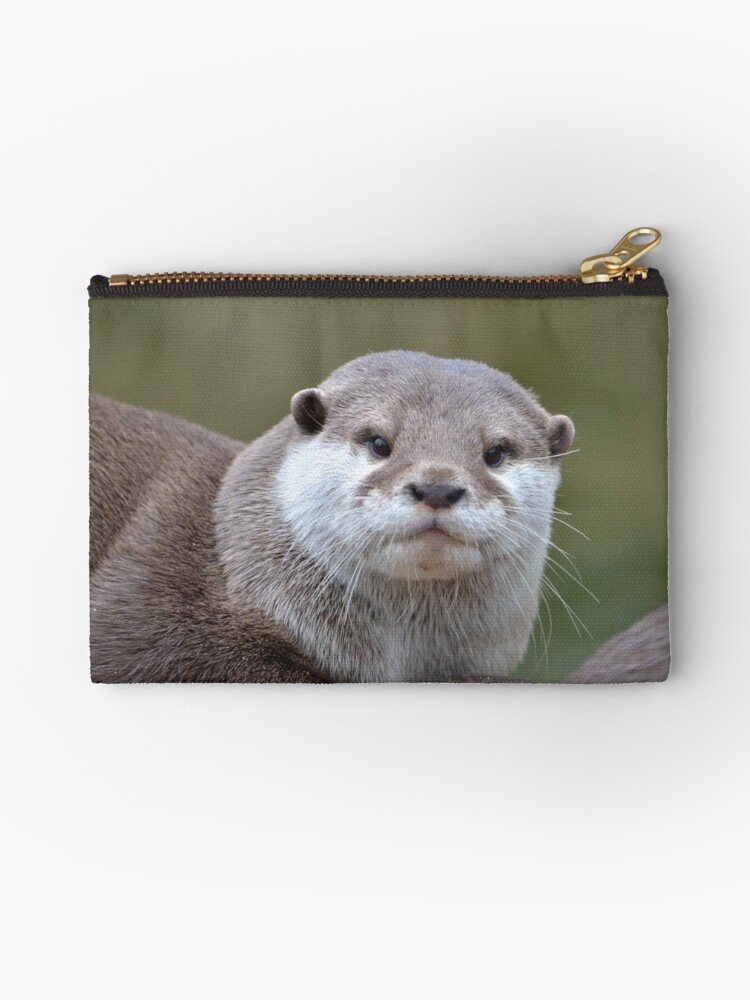 "Otter" Studio Pouches by Amy Fulford | Redbubble