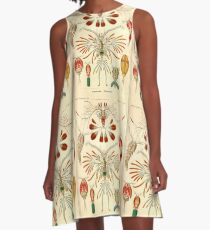 Insects A-Line Dress