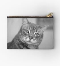 Happy Hunter House Cat Studio Pouch
