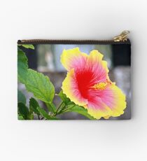 A specie of Hibiscus Rosa-senensis Linn. Studio Pouch