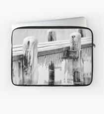 Freezing ..... Laptop Sleeve