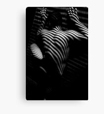 Edward V Canvas Print