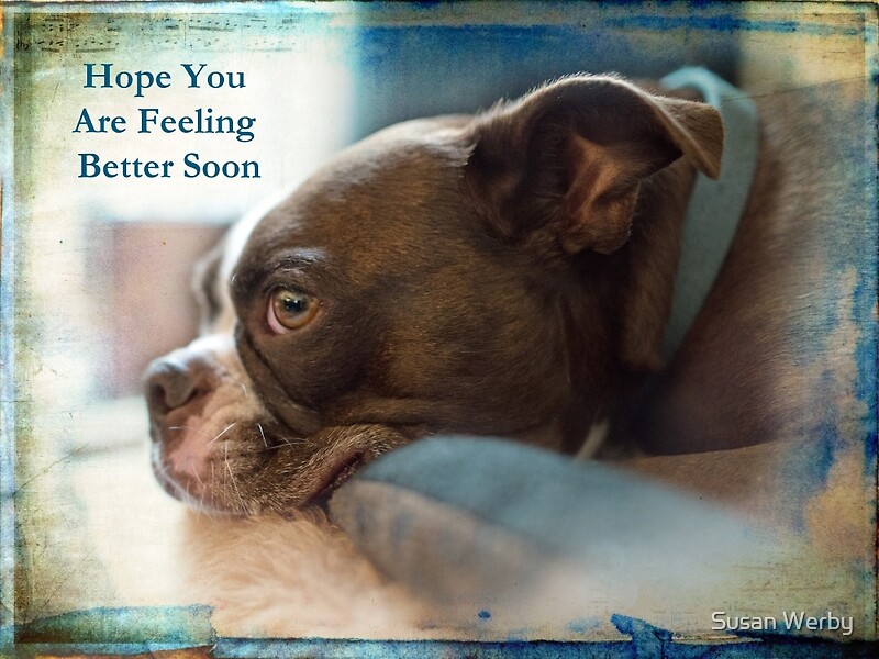 hope-you-are-feeling-better-soon-greeting-cards-by-susan-werby