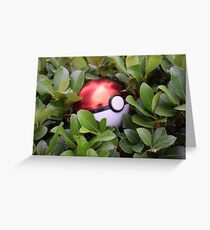 A Trainer's Dream Greeting Card
