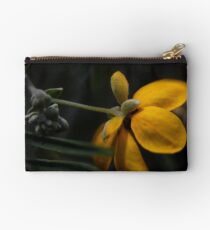 Senna artemisioides ssp. sturtii Studio Pouch