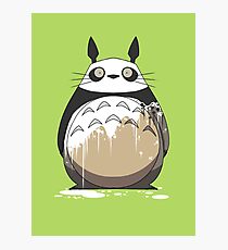 Totoro Painting Panda Photographic Print