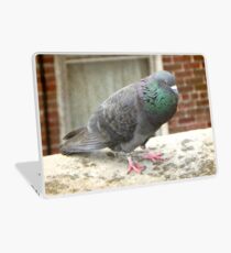 Coo © Laptop Skin