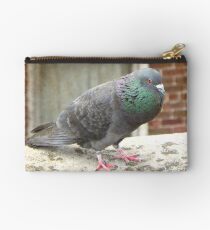 Coo © Studio Pouch