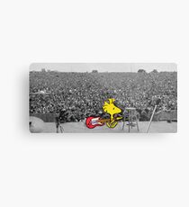 Woodstock at Woodstock Metal Print