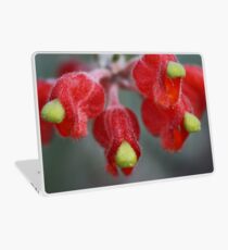 Grevillea saccata Laptop Skin