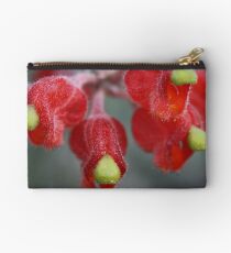 Grevillea saccata Studio Pouch