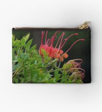 Grevillea bipinnatifida Studio Pouch