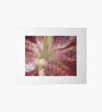 Star Gazer Lily in Macro Art Board