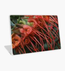 Grevillea bipinnatifida Laptop Skin