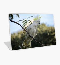 Sulfur crested cockatoo Laptop Skin