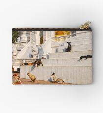 Temple Dogs Studio Pouch