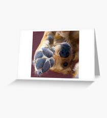 Please, No More Photographs! Greeting Card