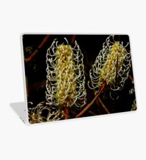 Grevillea leucopteris Laptop Skin