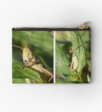 Hide-n-Seek Studio Pouch
