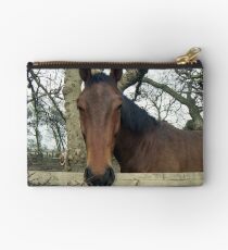 "Why the long Face" Studio Pouch