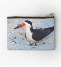 Black skimmer on its nest Studio Pouch