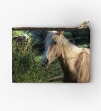 "Has anyone seen my idiot brother?" Studio Pouch