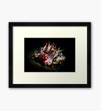 Sepia flamboyant Framed Print