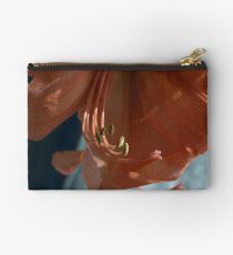 Amaryllis Up Close Studio Pouch