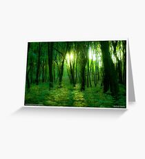 The DeeZ 5Cs Award Banner. ♥ ♥ ♥ ♥ series . Shades of green.Poland. by Brown Sugar. Tribute to Fryderyk Chopin . Views: 7343. Featured in Glitter, Sparkle & Shine. Greeting Card