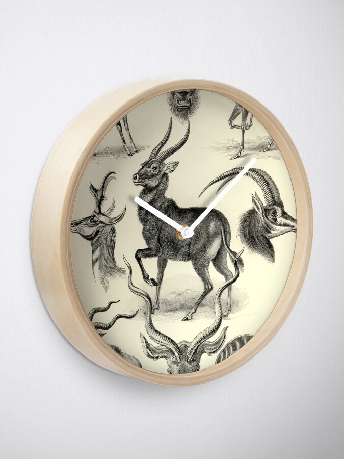 Alternate view of Antilope - Ernst Haeckel Clock