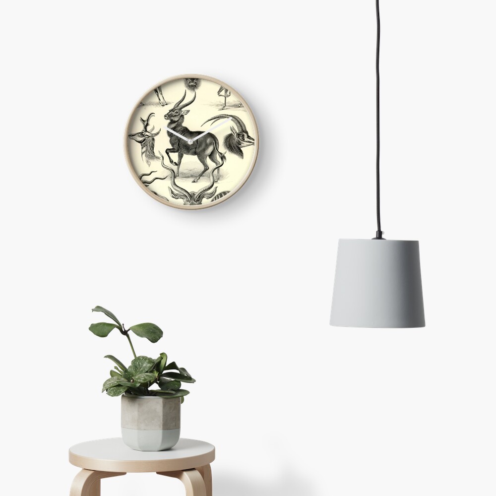 Antilope - Ernst Haeckel Clock