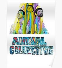 Animal Collective Poster