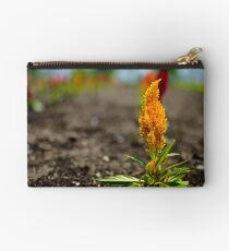 Singularity I Studio Pouch