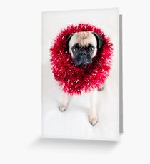 Tinsel Pug Greeting Card