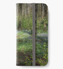 Woodland Walk in Springtime iPhone Wallet/Case/Skin