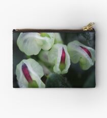 Grevillea jephcottii Studio Pouch