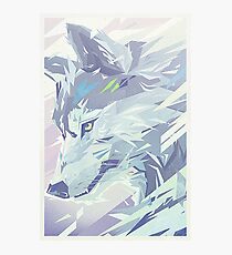 Arctic Photographic Print