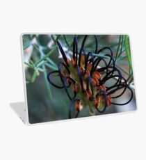 Grevillea calliantha Laptop Skin