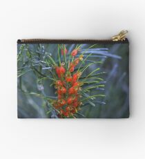 Grevillea stenomera Studio Pouch