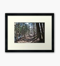 The road less Traveled Framed Print