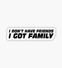 I DON'T HAVE FRIENDS I GOT FAMILY Sticker