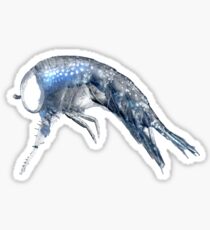 Amphipods Sticker