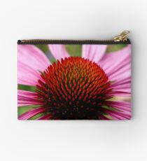 A Burst of Echinacea. (View Larger) Studio Pouch