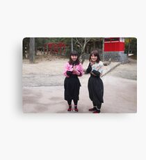 ninpo Canvas Print
