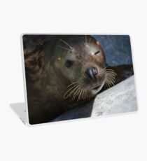 Winking Sealion Laptop Skin
