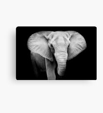 Elephant Canvas Print