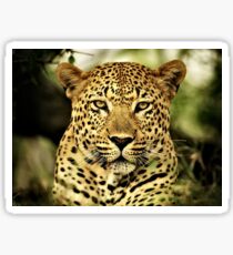 Snow Leopard Sticker